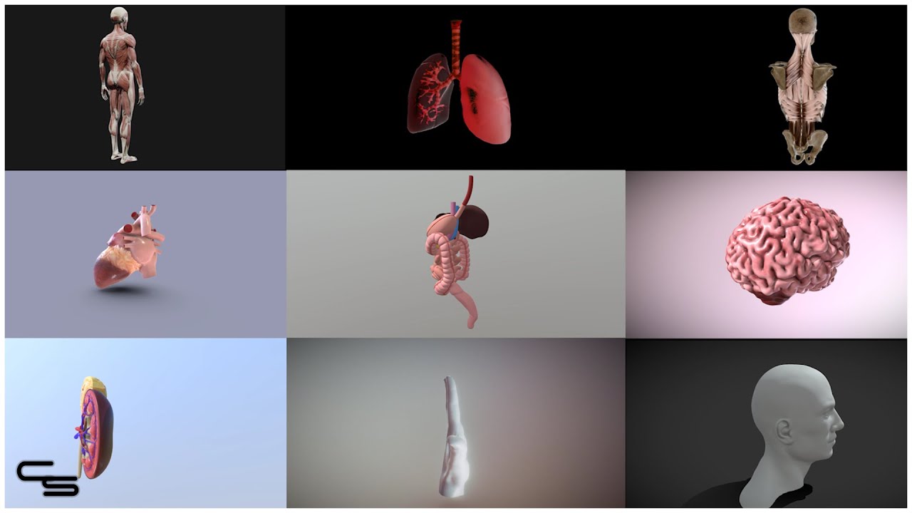 Effects of Exercise On The Human Body - YouTube