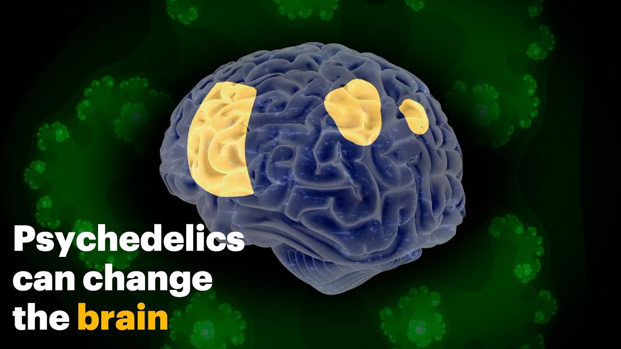 How Psychedelics Change the Brain