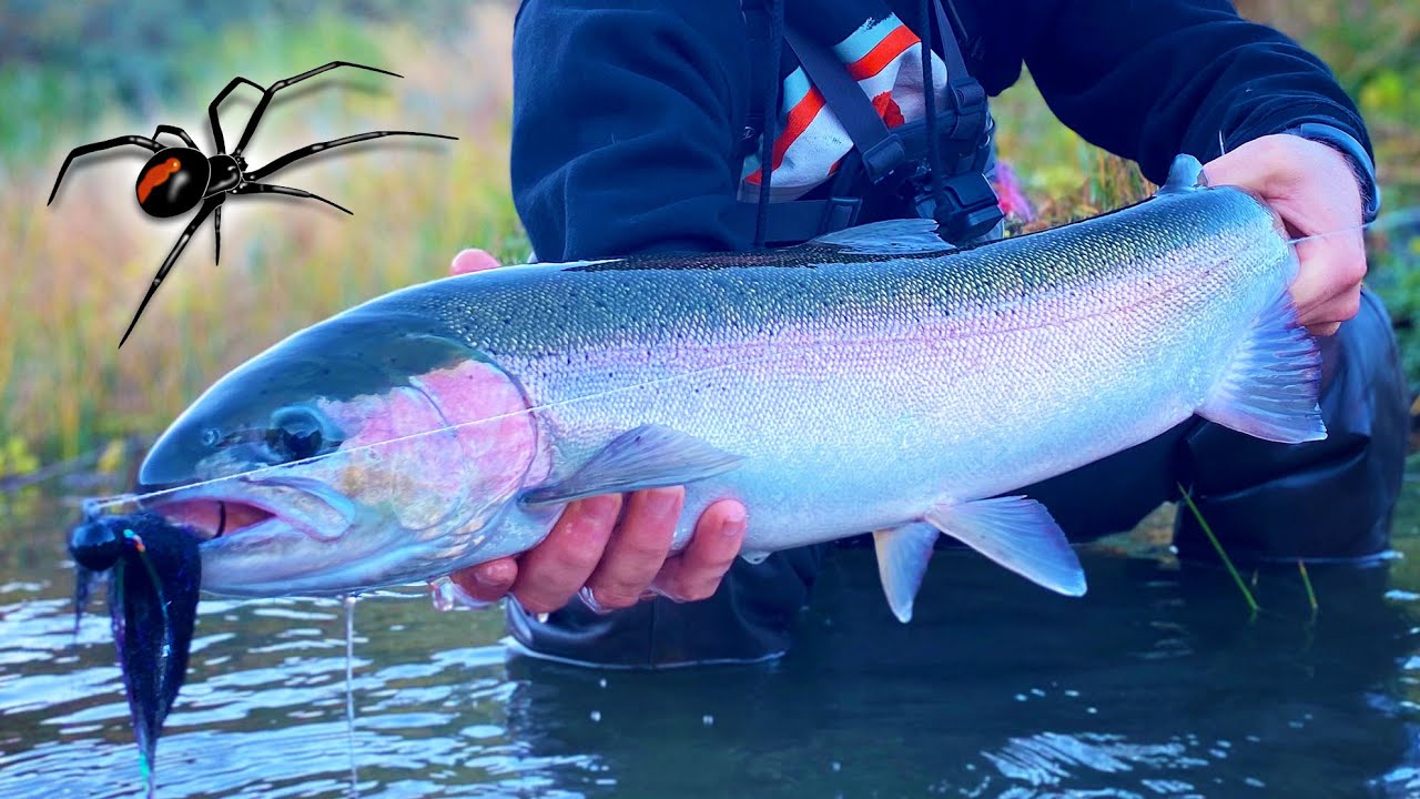 EPIC Summer Steelhead Fishing! BLACK WIDOWS Infested Our Camp