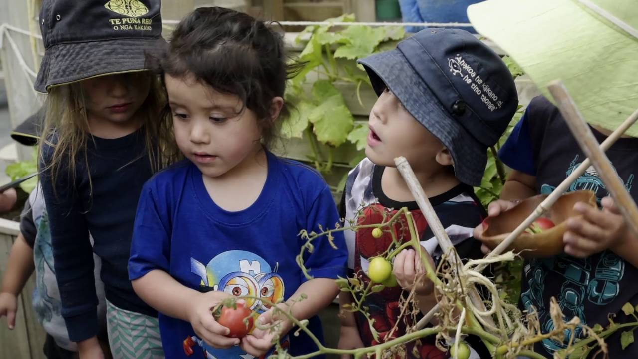 Te Puna Reo O Nga Kakano New Zealand YouTube te-puna-reo-o-nga-kakano-new-zealand-youtube