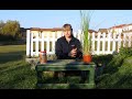 Cum Cultivam Iarba De Pampas Cum Cultivam Iarba De Pampas