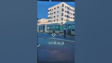 سورة الإخــــــــــــــلاص ♡♡