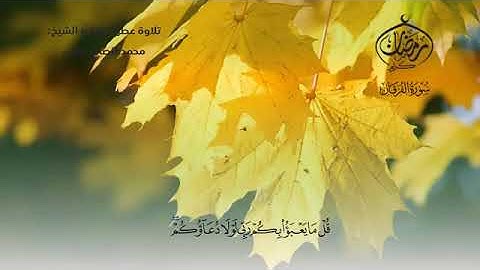 تلاوة عطرة تأحذك لعالم آخر للقارئ محمد الصالح باسي