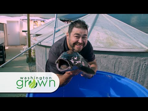 Washington Grown Season 7 Episode 3 "Aquaculture"