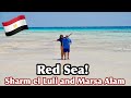 Red Sea | Egypt | Snorkeling in Marsa Alam and Sharm el Luli |