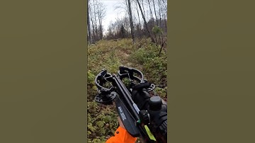 I Was Not Prepared For This Whitetail Deer. #deerhunting #deer #bowhunting #crossbow  #whitetaildeer