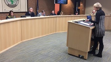 Maura Thomson speaks about Core Spaces proposal for Library Lot in Ann Arbor