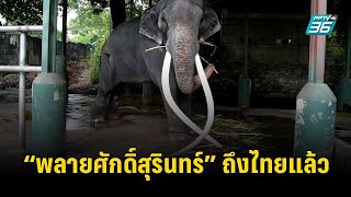 🔴ต้อนรับ "พลายศักดิ์สุรินทร์" กลับบ้าน หลังถูกส่งไปเป็นทูตสันถวไมตรีนานกว่า 20 ปีที่ประเทศศรีลังกา