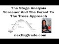 Stage Analysis Screener And The Forest To The Trees Approach