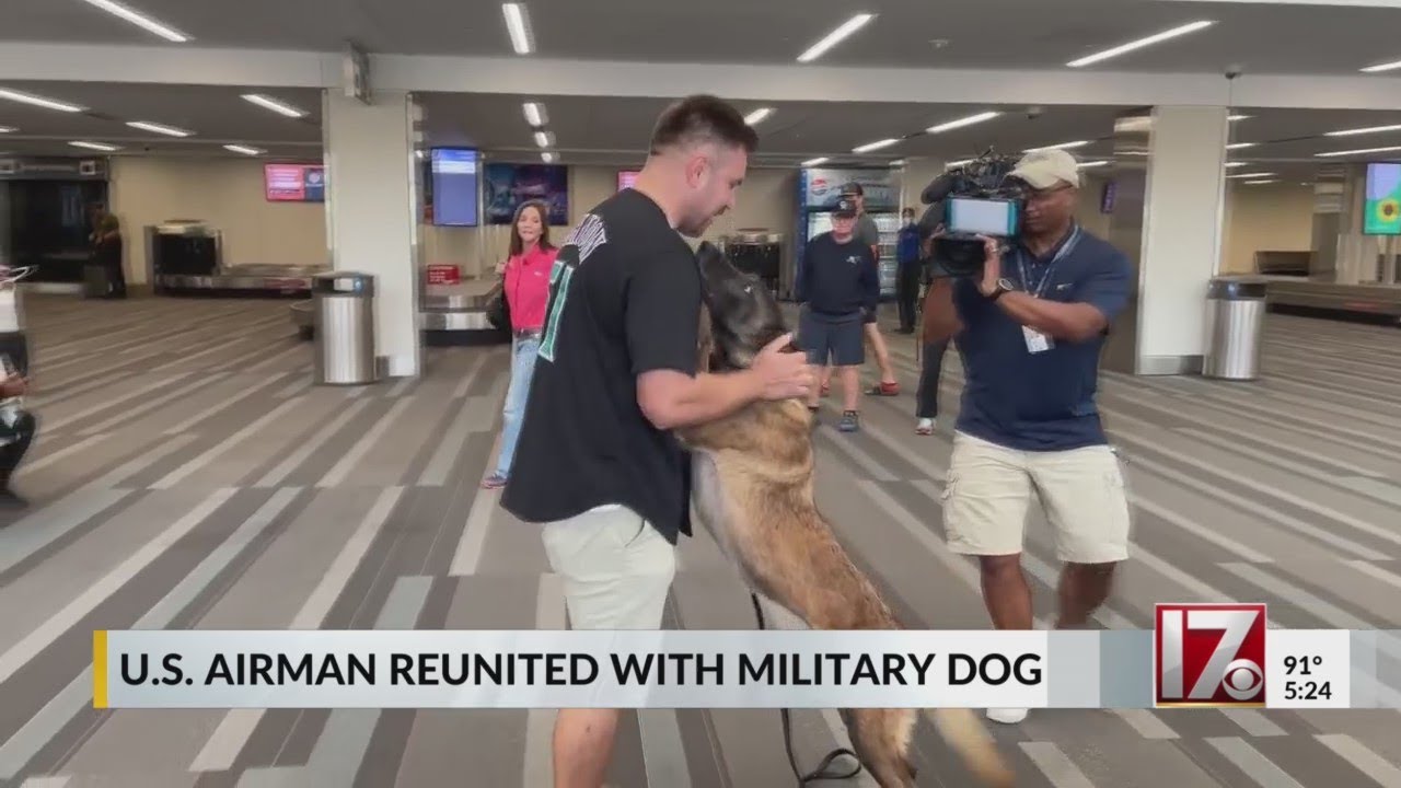 U.S. airman reunites with military dog after 2 years - YouTube