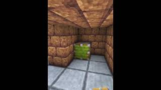 Minecraft Automatic Working Door 😱 (Imposter Syndrome) #minecraft #shorts