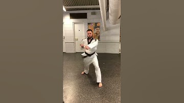 10th Kup   Walking Stance, Low Block, Reverse Punch