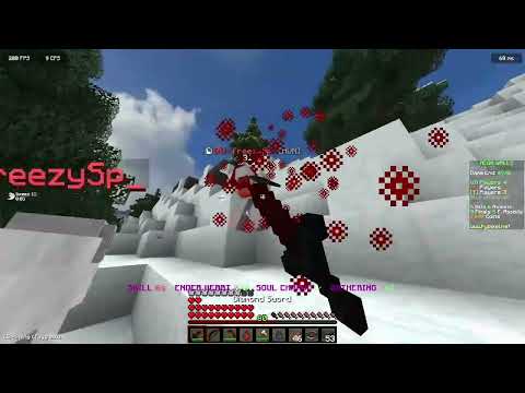 absolutely bewildering "sn" party | Hypixel Mega Walls #2