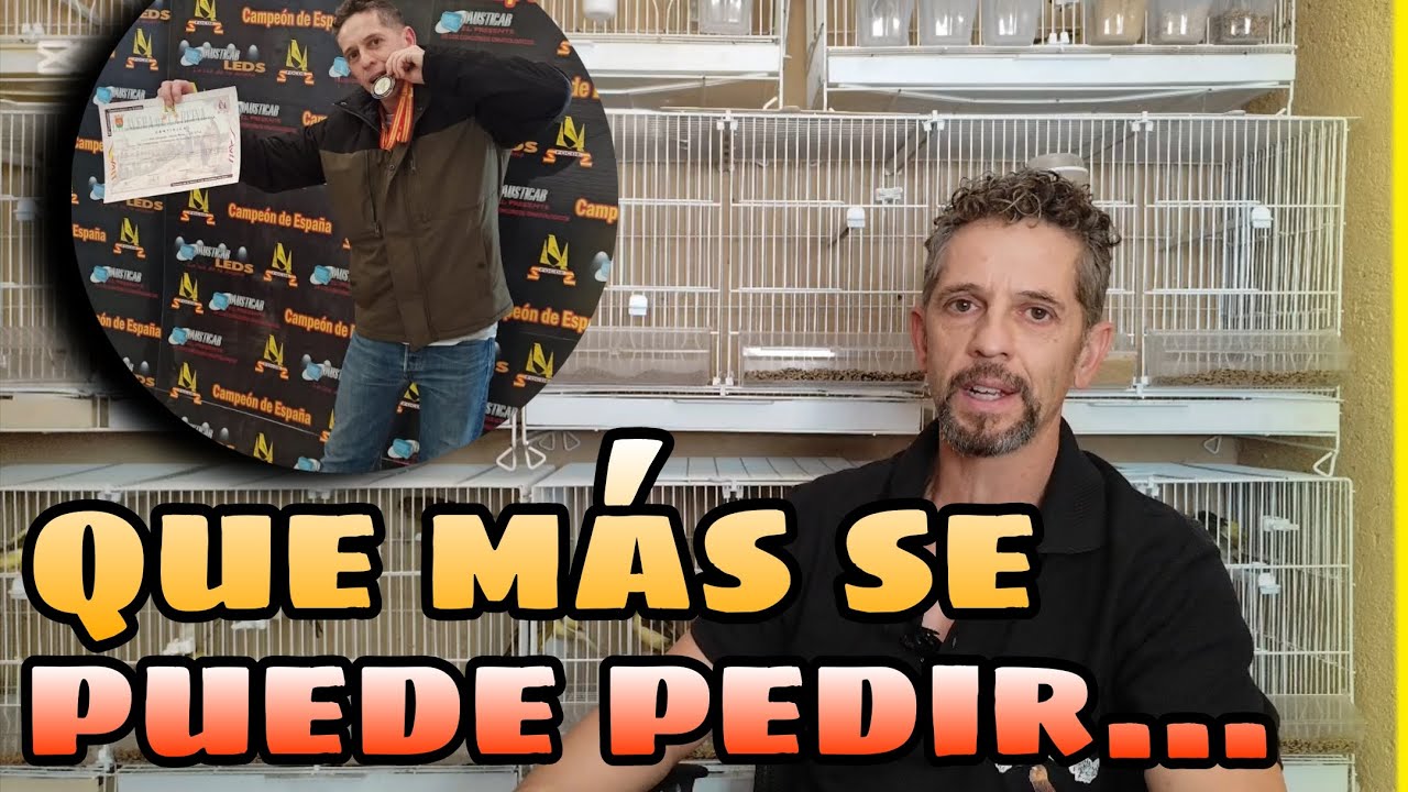 AVIARIO, MANEJO de CANARIOS TIMBRADOS,CANTO y MAS....💯🎶