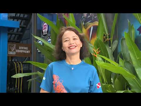 VƯỜN SAO MAI HTV_CẨM NANG DU LỊCH BIỂN