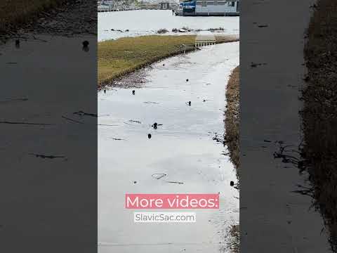 Storm Aftermath in San Francisco