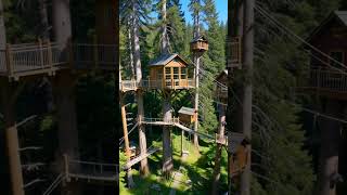 A Multi-Level Treehouse Complex Connected By Rope Bridges, High In Ancient Redwood Trees