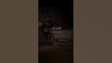 ﴿يَا أَيُّهَا الَّذِينَ آمَنُوا اتَّقُوا اللَّهَ﴾ | القارئ محمد صديق المنشاوي #قرآن | سورة الحشر.