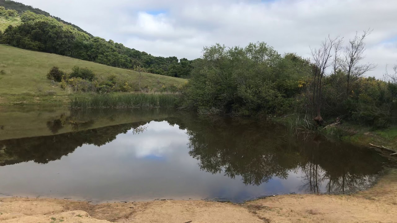 Mesa Pond Garland Ranch