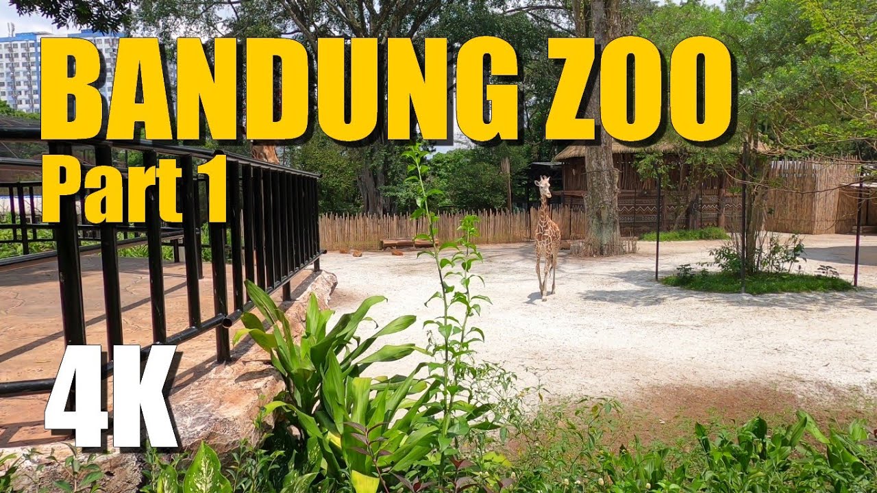 Bandung Zoological Garden | BAZOGA | Kebun Binatang Bandung | Part 1