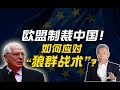 司马南：欧盟32年来首次对华制裁！中国如何应对“群狼战术”？