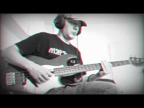 Lenny Kravitz - It's just another fine day ( in this universe of love)  // (bass cover)