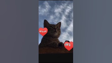 استمع القرآن الكريم واكتب يا الله ♥