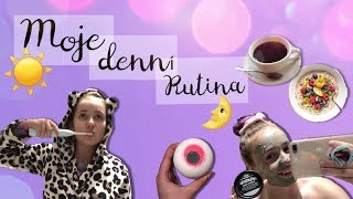 Moje denní rutina / My daily routine