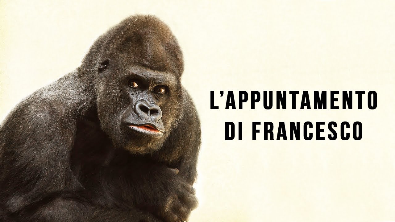 L'appuntamento di Francesco.