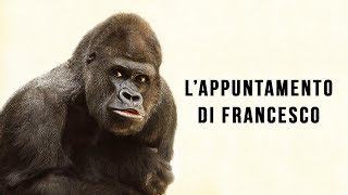 Francesco's appointment.