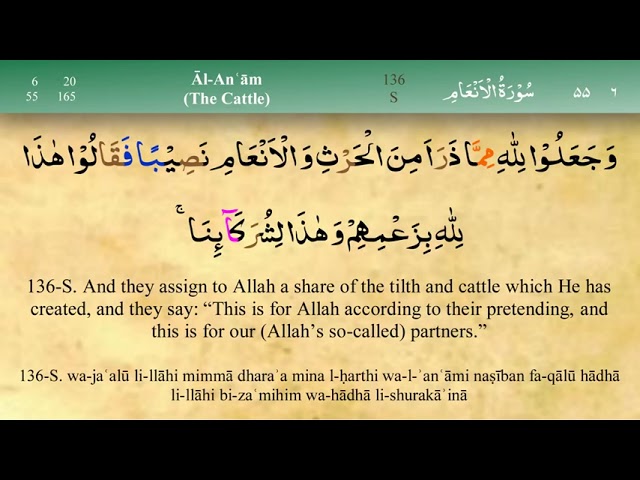 Juz 8 | Quran | Sheikh Mishary Rashid Al-Afasy | Arabic English Translation | Para 8 قرآن class=