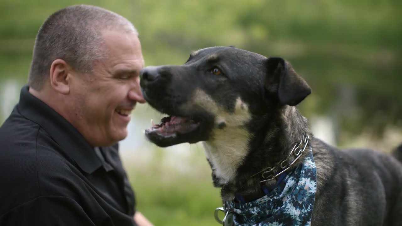 PostNet & American Natural Pet: Printing Solutions