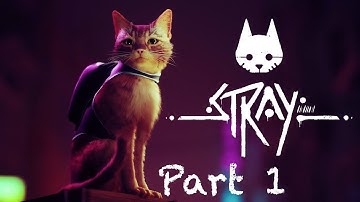 Stray - Walkthrough Gameplay Part 1 - INTRO (FULL GAME) | No Commentary | PS5