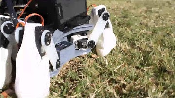 CSULB EE400D Spiderbot Movie (Short Ver.)