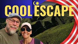 WHY WE LOVE THE CAMERON HIGHLANDS, MALAYSIA!