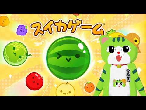 スイカゲーム】ダブルスイカ耐久 8日目 260706 - YouTube