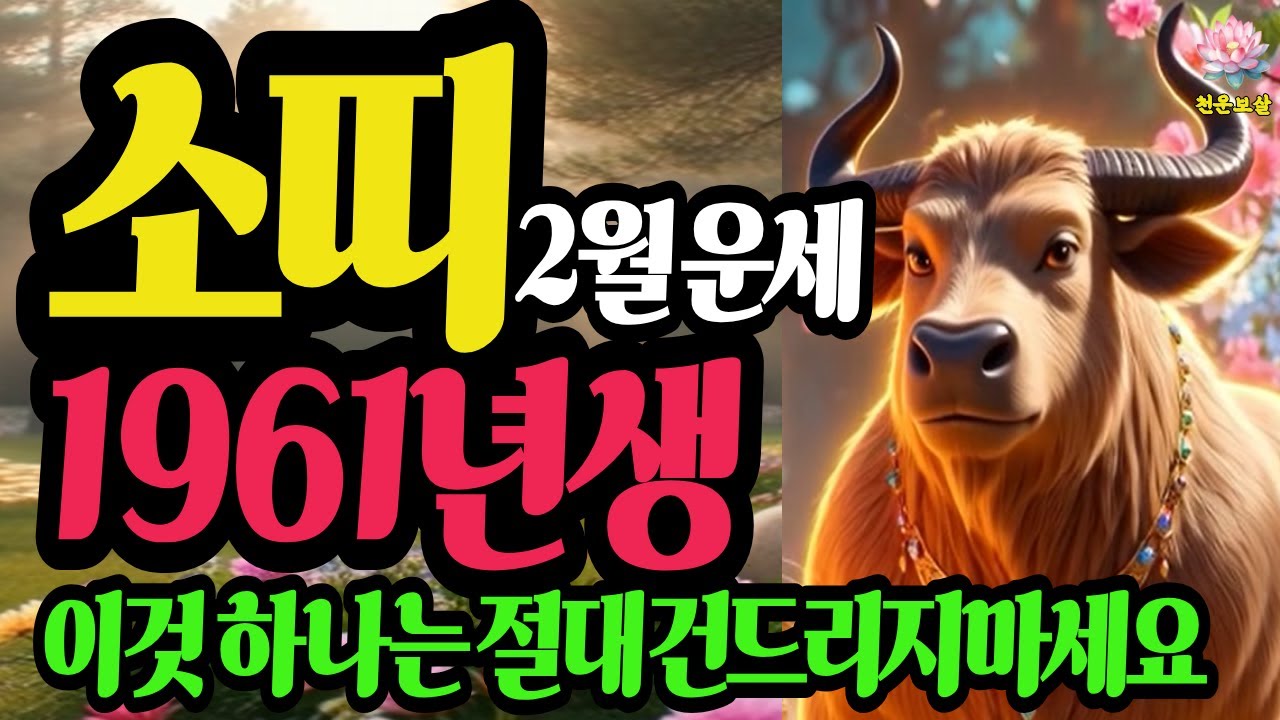 소띠, 1961년생, 2026년2월 운세, 65년만에 찾아온 천지개벽, 이것만은 절대 건들지 마세요 #재물운 #사주명리학강의 #유튜브 #결혼운 #가족운 #병오년 #소띠운세