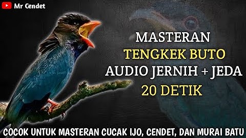 NGERIII..!!! MASTERAN TENGKEK BUTO AUDIO JERNIH + JEDA 20 DETIK !!
