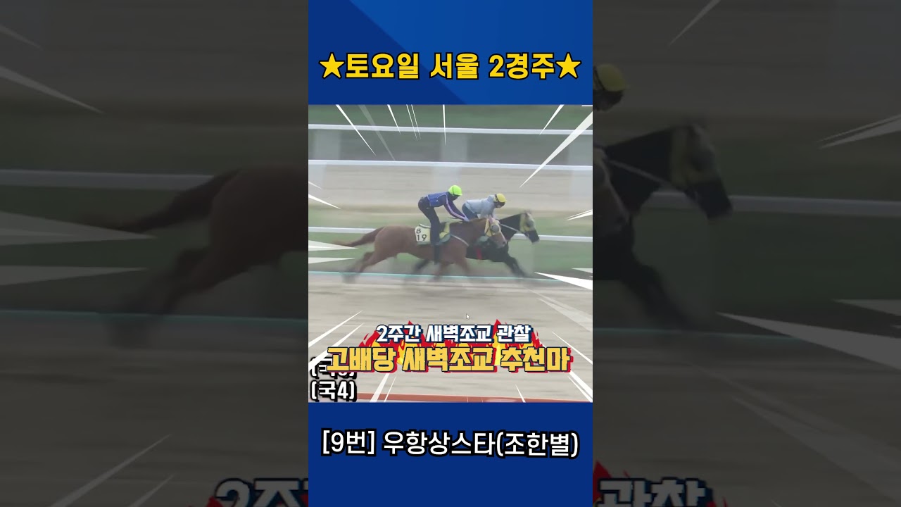 4월25일 토요일 서울 2경주!! 2주간 훈련보인 강백호의 새벽조교 쏘스마!!
