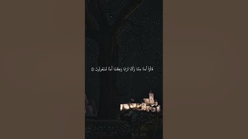 ما تيسر من سورة المؤمنون الشيخ محمد بدر حسين