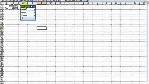 Introduction to Smart View Reporting Webinar Part 2