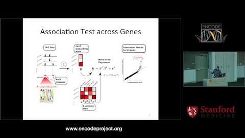 Genome-wide association between transcription factor expression and chromatin accessibility...