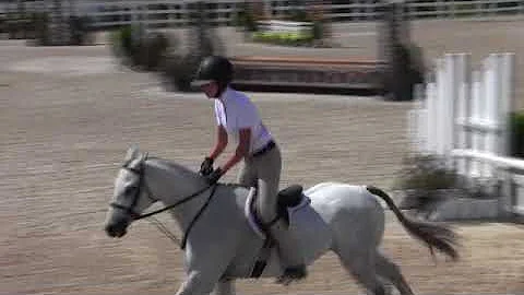 Video of PATTERSON ridden by VIVIAN GOLDEN from Sh...
