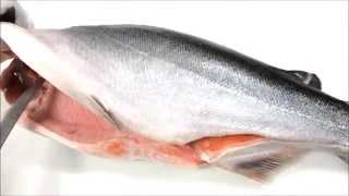 Cutting the ŌRA KING NZ King Salmon