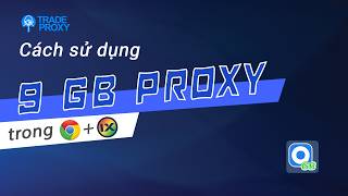 Setup 9Proxy GB Lên Chrome + Antidetect iXBrowser Chỉ Trong 3 Phút