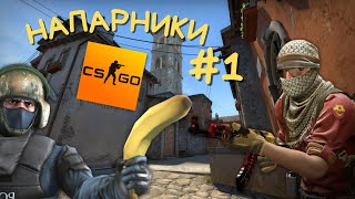 Нам Точно Стоит Продолжать?(Напарники Cs:go)