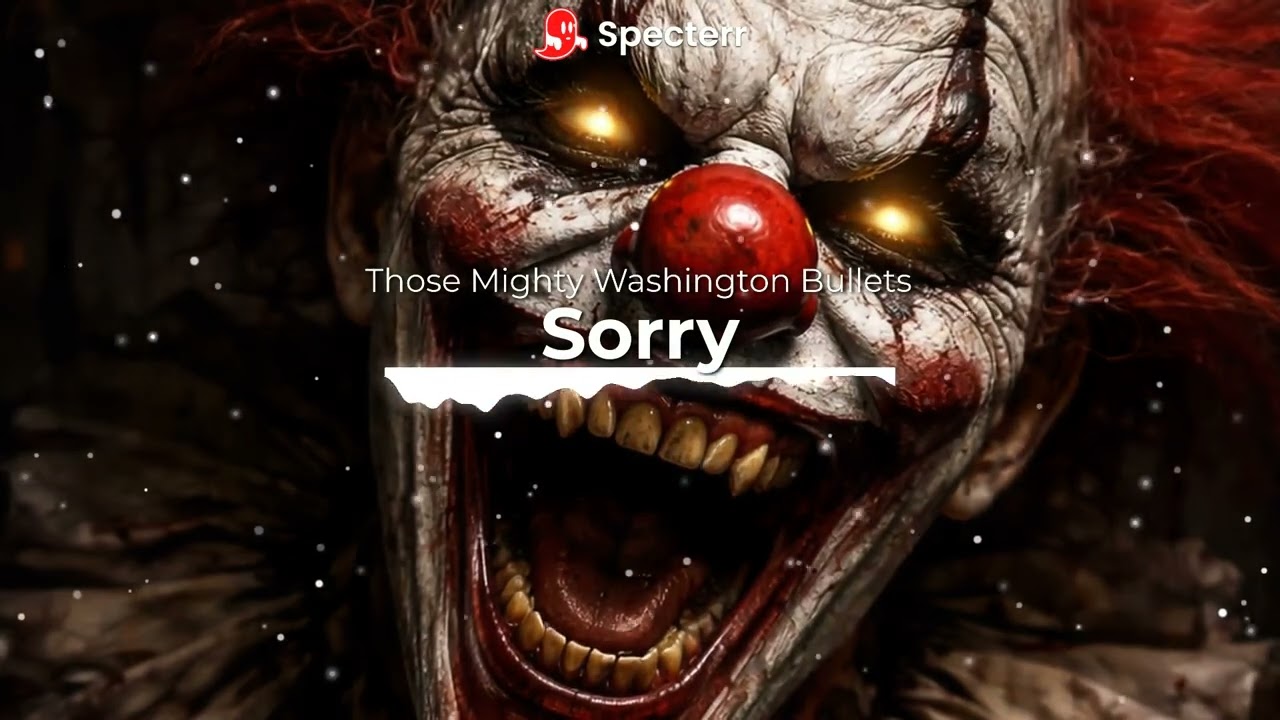 Sorry ( 4- Skins Cover)