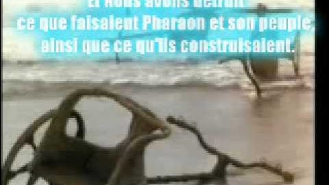 هاني الرفاعي آيات من سورة الأعراف