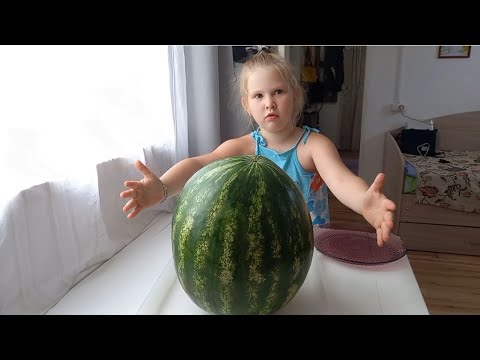 Трудяжкины будни/Ходим на