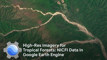 High-Res Imagery for Tropical Forests: NICFI Data in Google Earth Engine